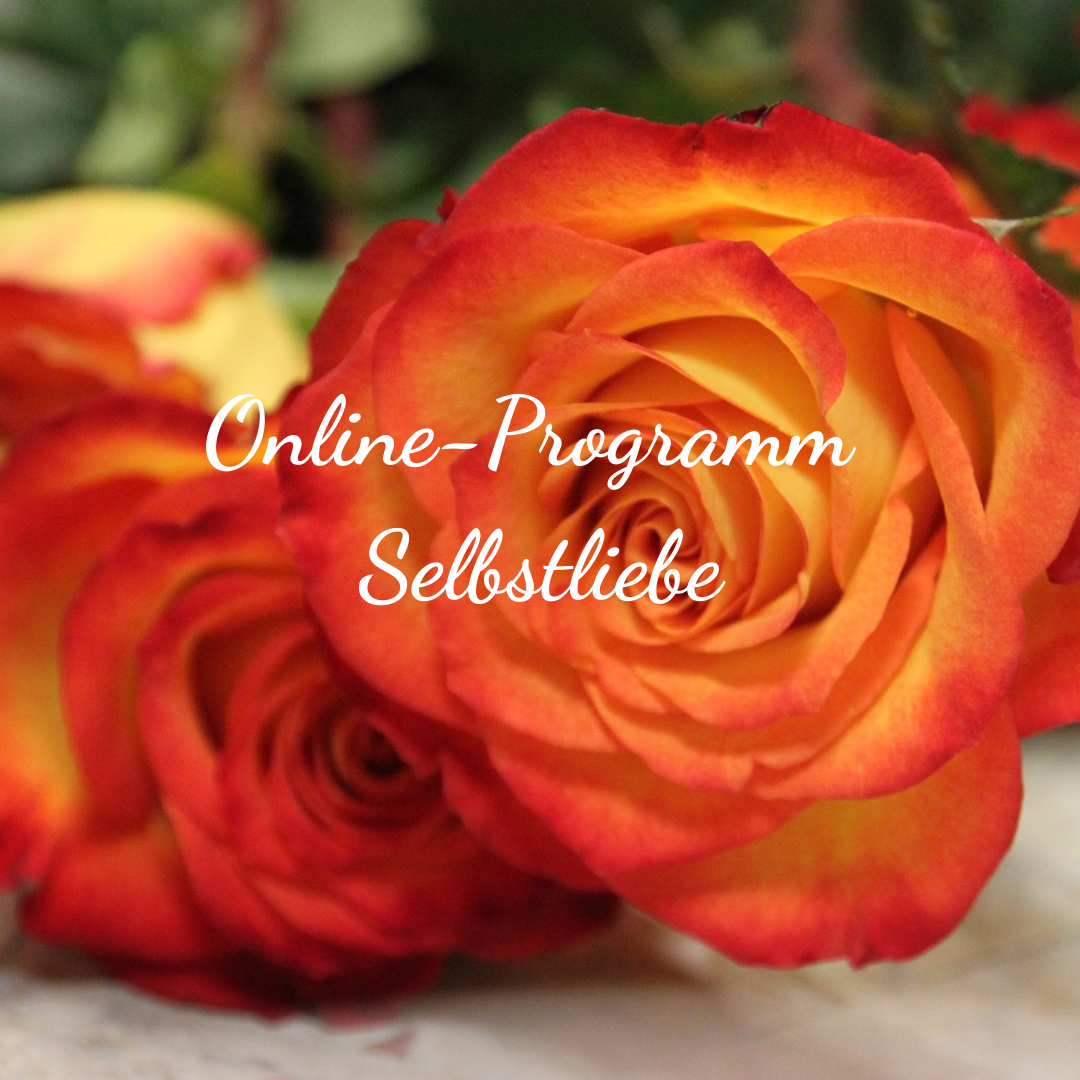 Online-Programm-Selbstliebe